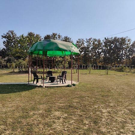 Nature Homestay Varanasi Dış mekan fotoğraf