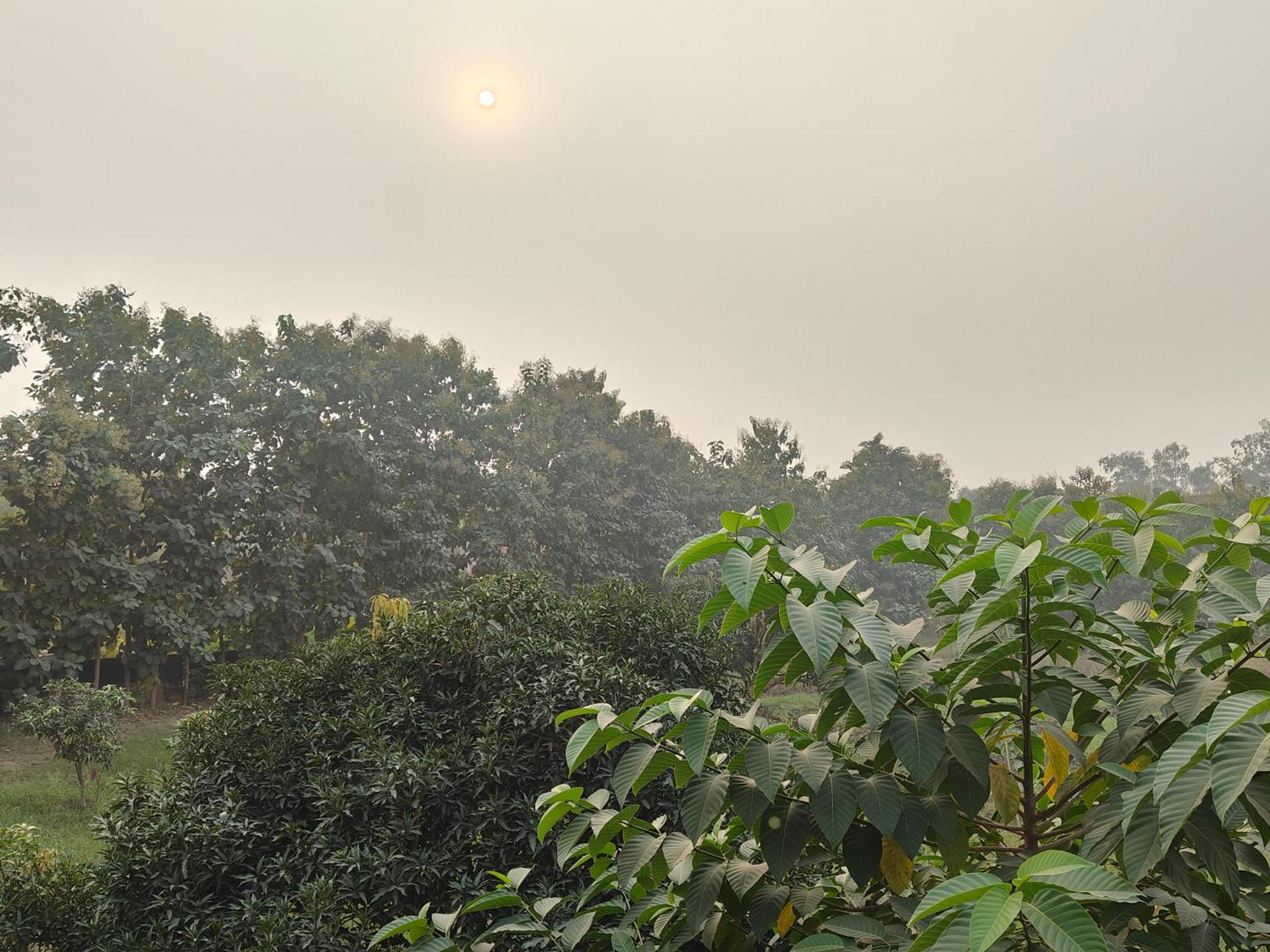 Nature Homestay Varanasi Dış mekan fotoğraf